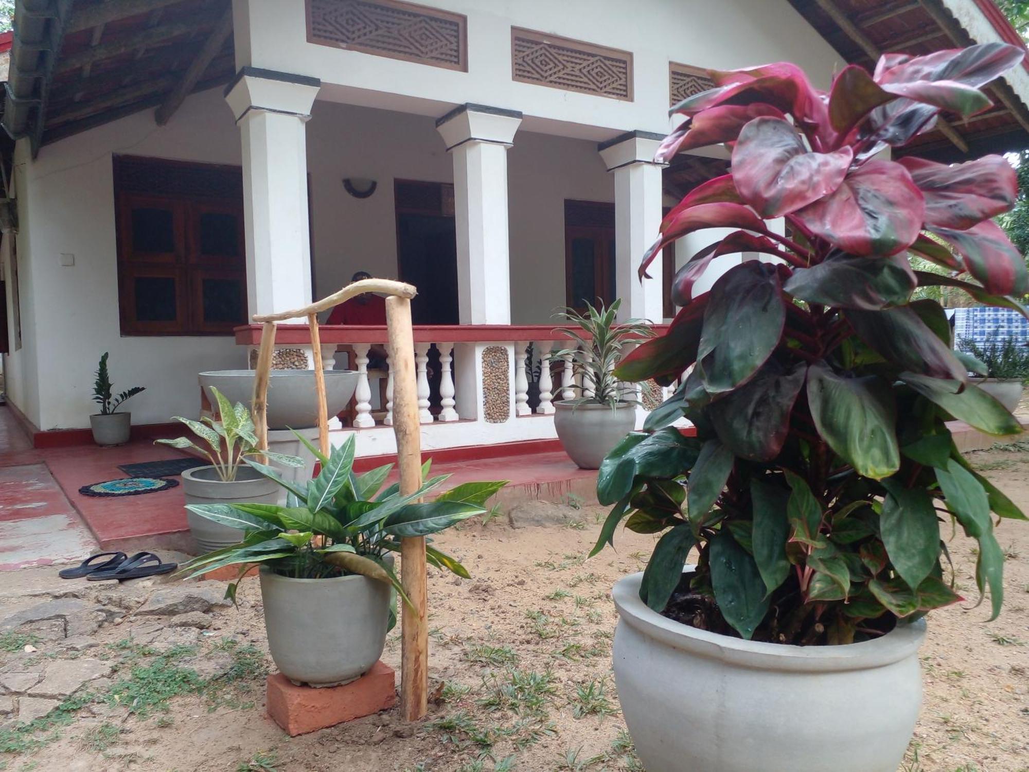 Hotel Golden Bell Tangalle Εξωτερικό φωτογραφία